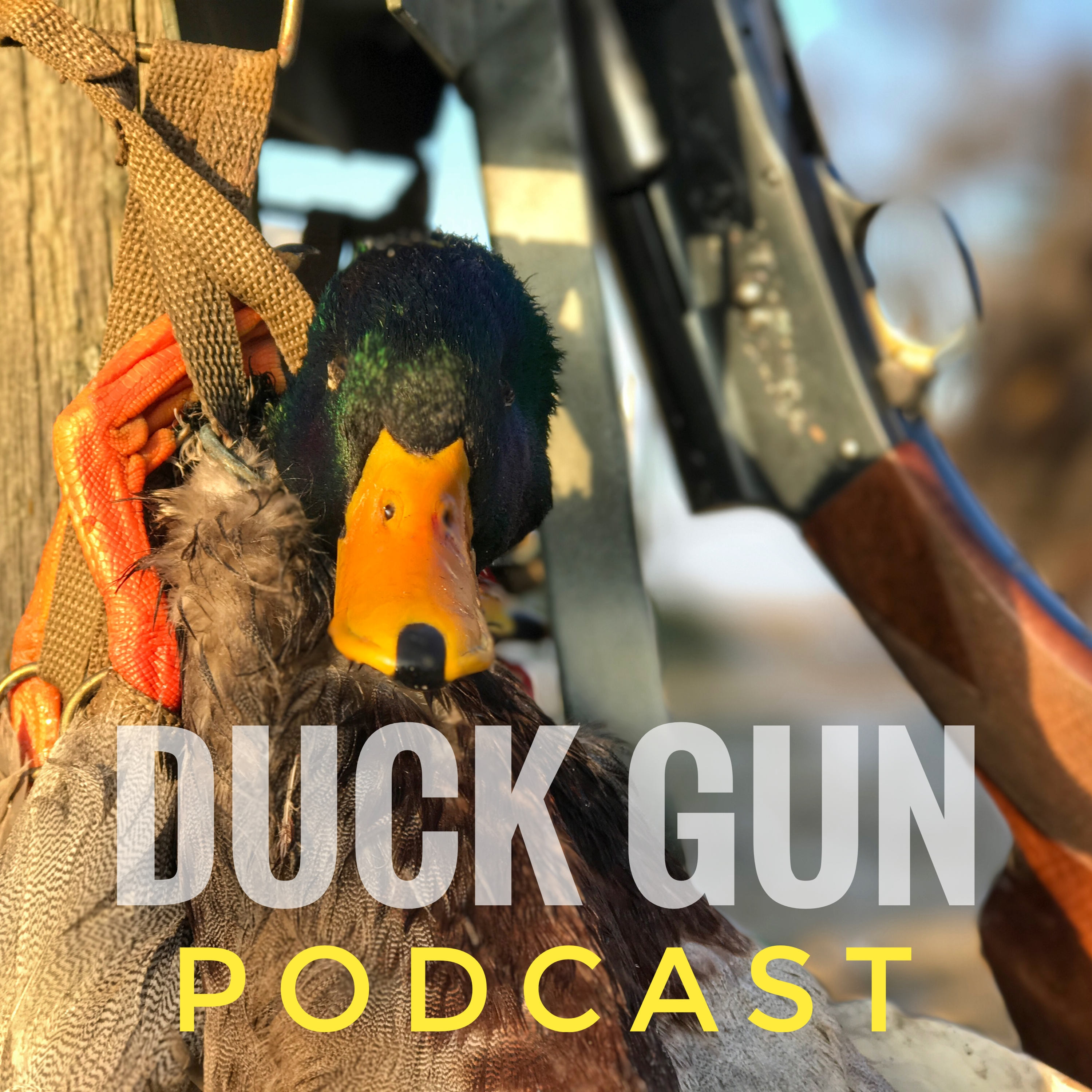 Ep.34 Outdoor Limits us on the Podcast and we talk all this waterfowl and much more